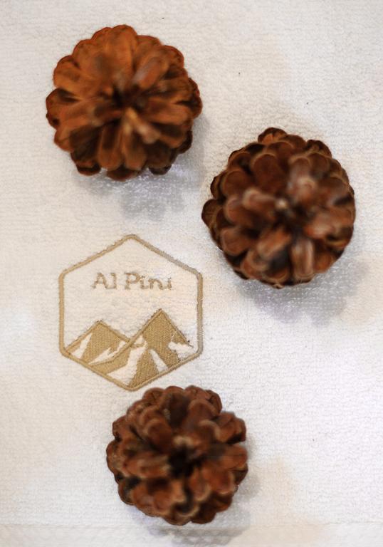 Alpini Apartamenty Zakopane Bilik gambar